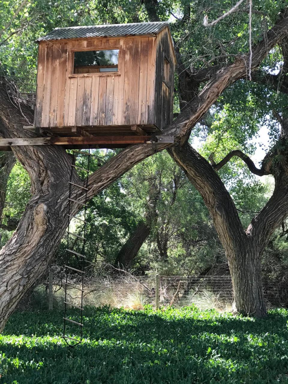 Morning Star Bed & Breakfast Of Corrales Екстериор снимка